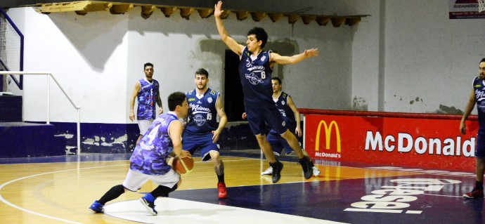 Leña del árbol caído