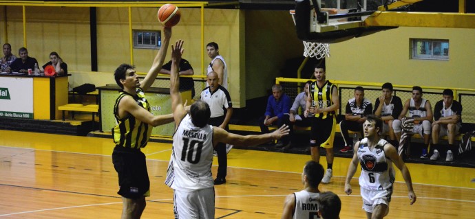 Calamar con tinta aurinegra