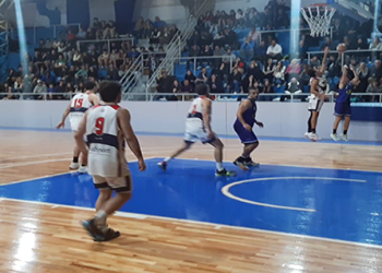 Napo todavía no sabe lo que es perder