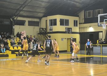 Precisión de mariscal