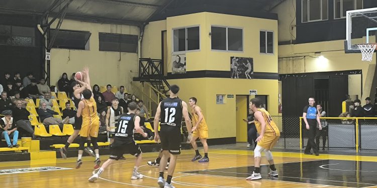 Precisión de mariscal