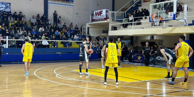 Estrella no tiene techo y sigue sumando